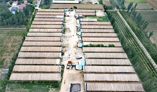 班庄村的光伏发电项目，每年为村集体带来15万元的收入